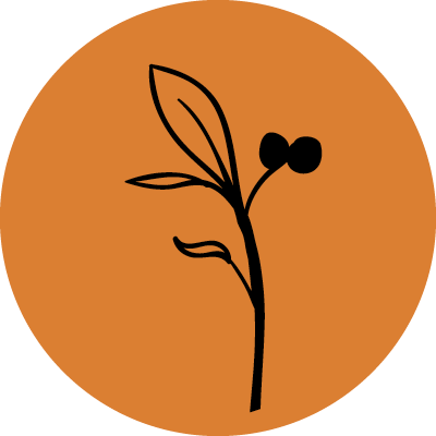 Culture Garden