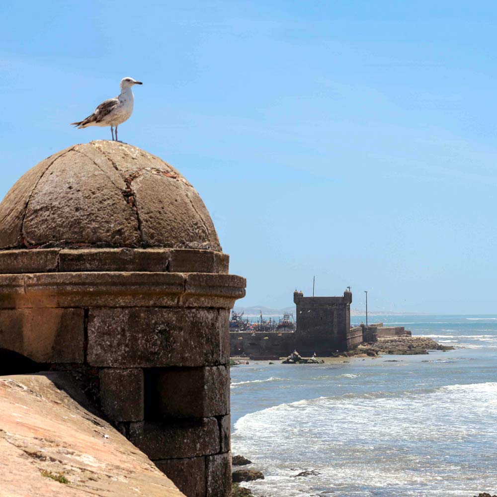 Pur Life Maroc Tour Casablanca – Marrakech– Essaouira (1) Pur Life Maroc Tour Casablanca - Marrakech– Essaouira