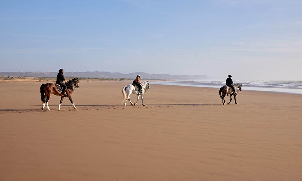 Purlife Maroc - Hotel Baberrih - Essaouira