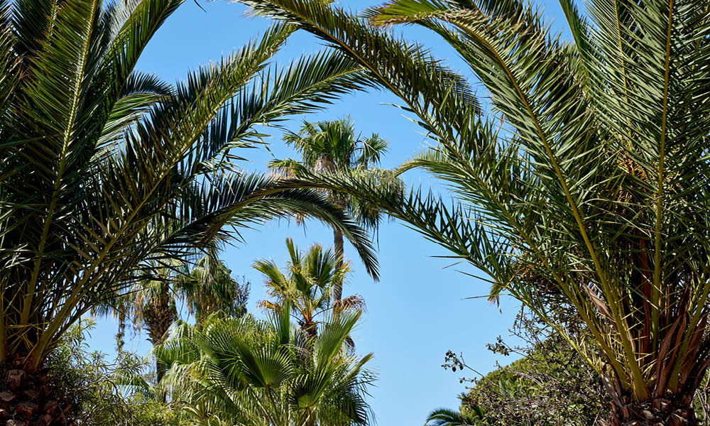 Purlife Maroc - Villa Beldi - Essaouira