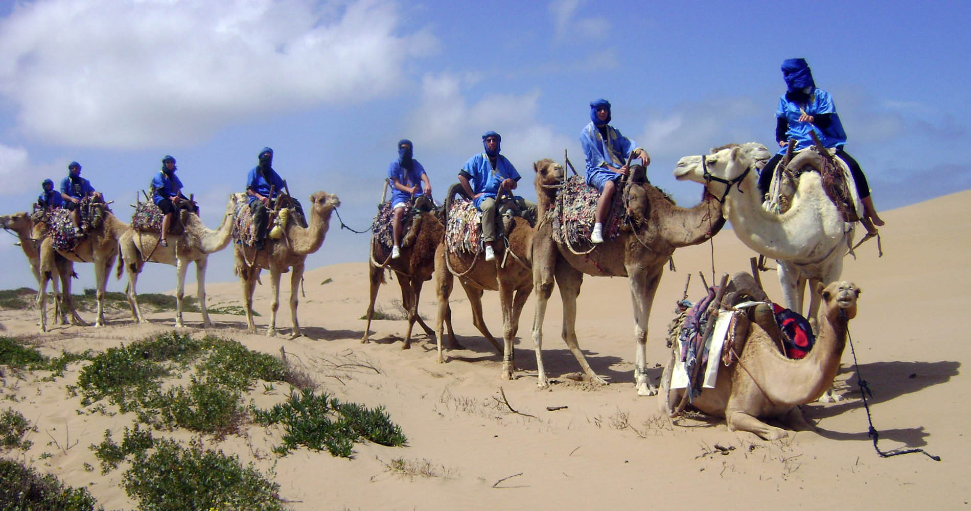 Purlilfe Maroc - Essaouira - Dünen-Ritt im Dromedar-Schritt