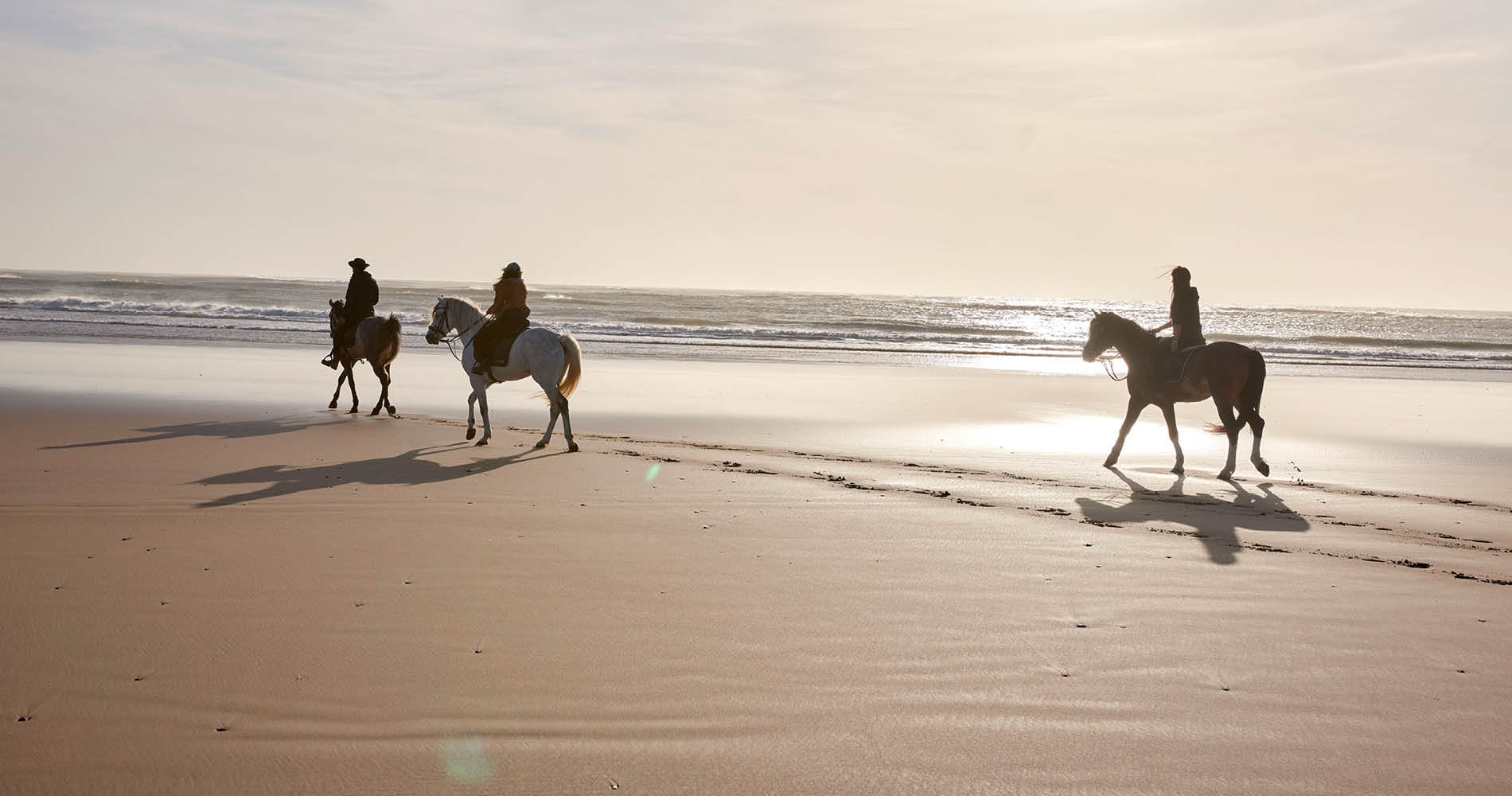 Purlilfe Maroc - Essaouira - Reiten am Strand