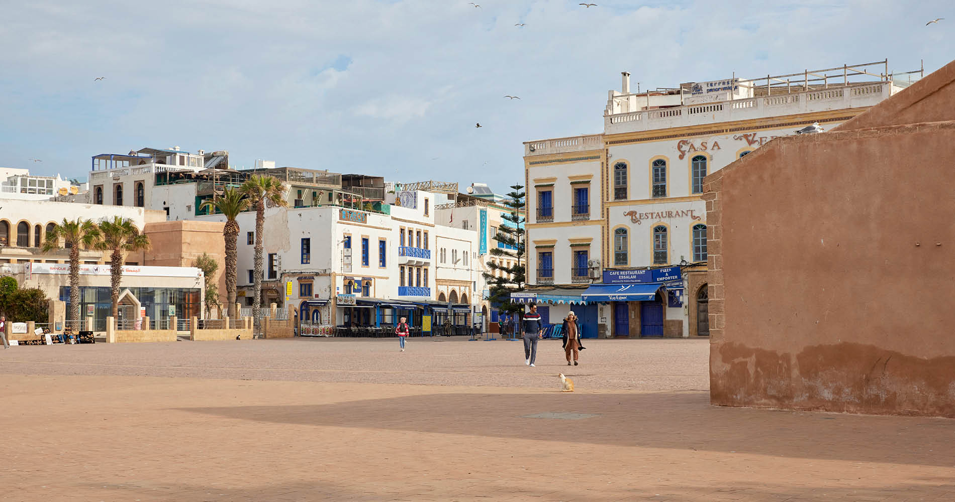 Purlilfe Maroc - Essaouira - Stadtführung
