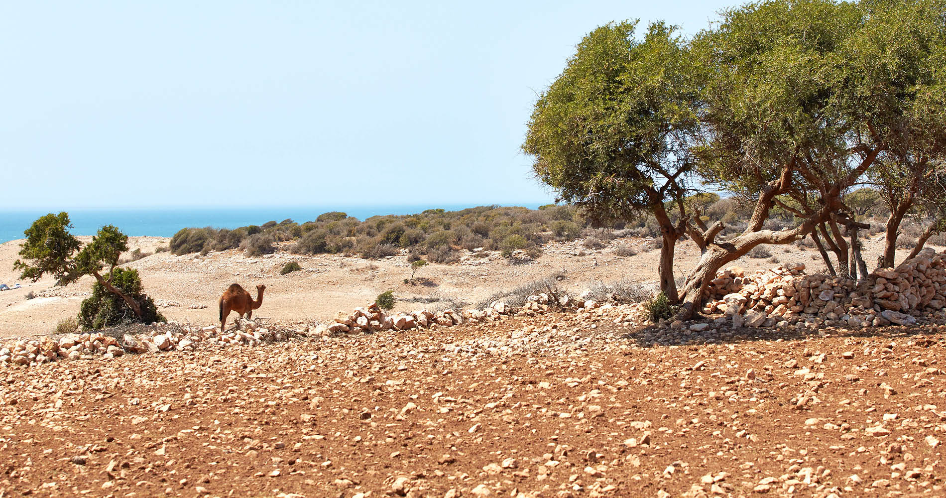 Purlilfe Maroc - Essaouira - Wandern in der Natur