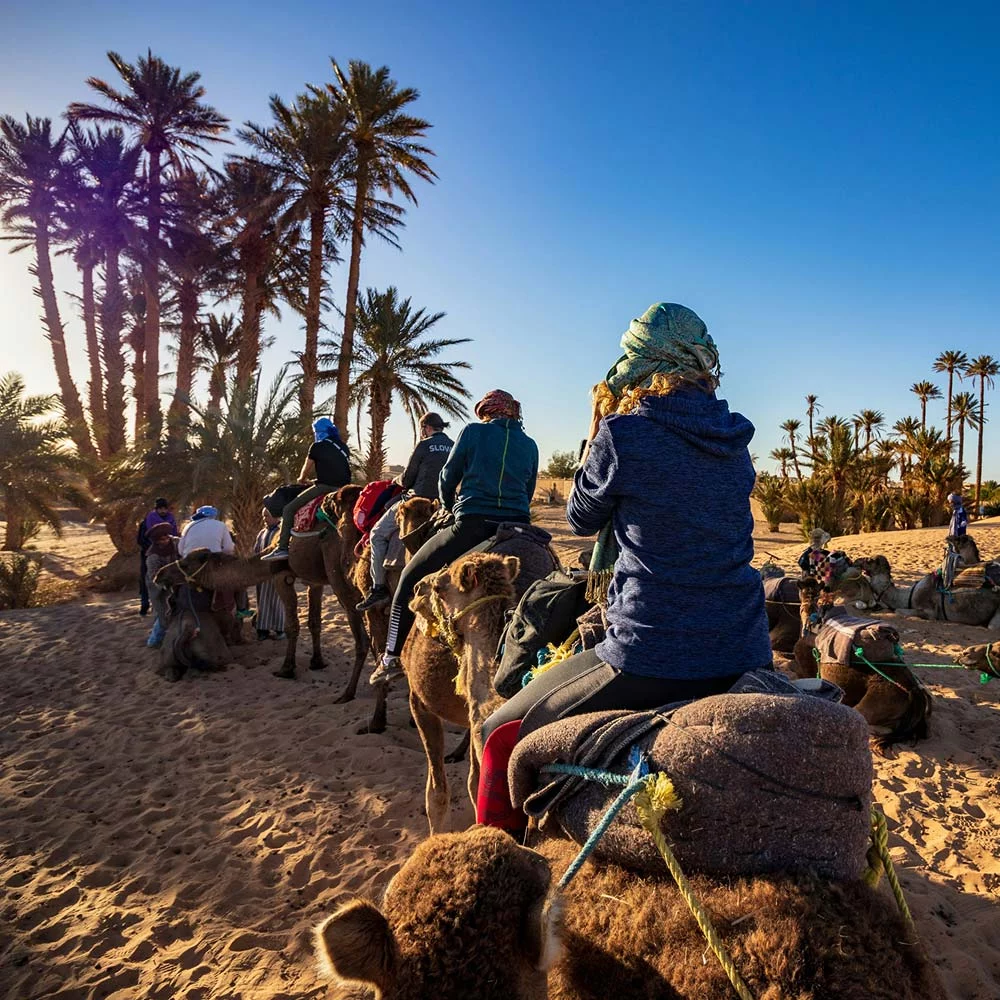 Pur Life Maroc Wueste Marokko Erg Lihoudi Draa Tal Zagora Pur Life Maroc Wueste Marokko Erg Lihoudi Draa Tal Zagora