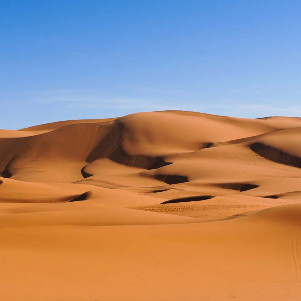 Pur Life Maroc Wueste Marokko Merzouga Erg Chebbi