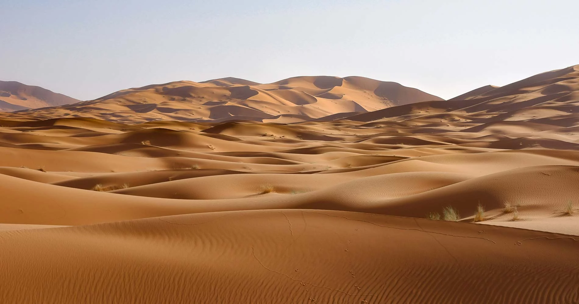 Pur Life Maroc Wueste Marokko Natur