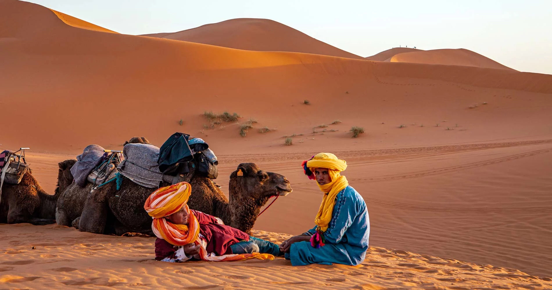 Pur Life Maroc Wueste Marokko Wuestenleben