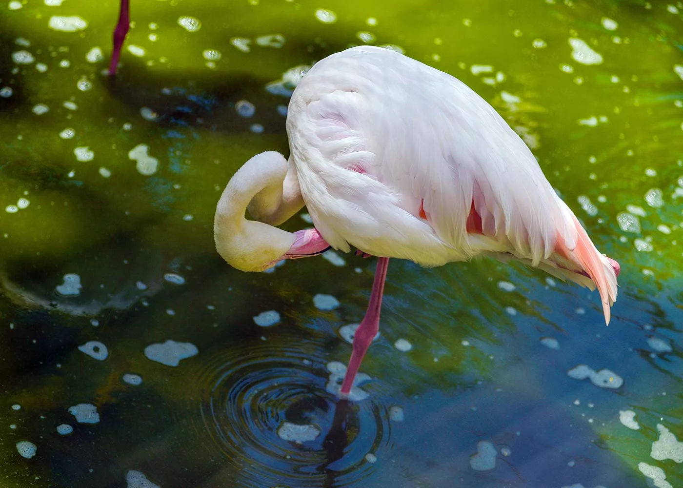 Pur Life Maroc Destination Agadir Vallee des Oiseaux
