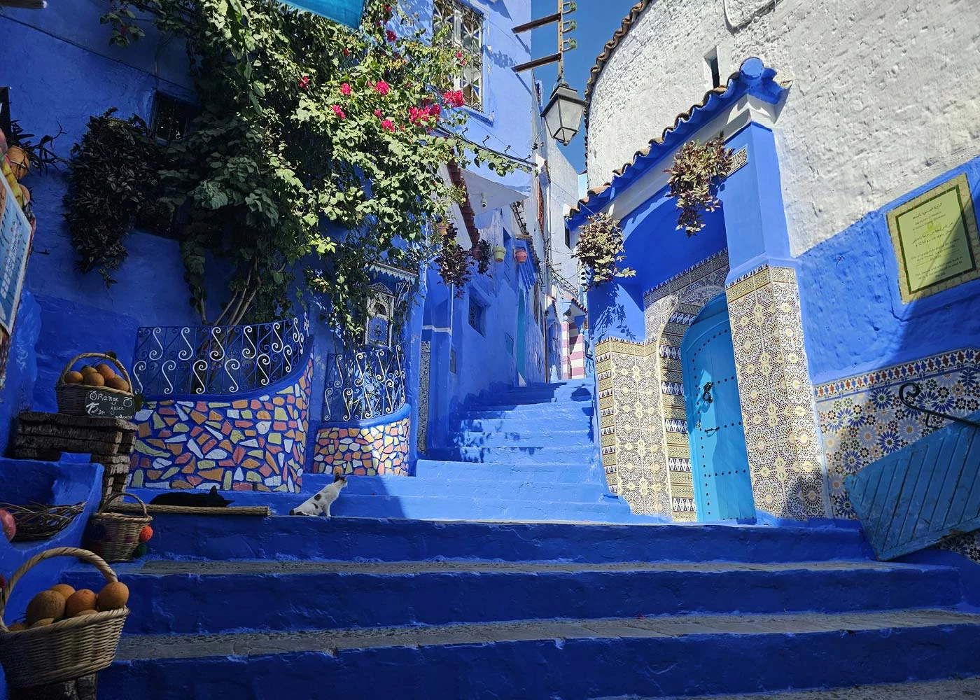 Pur Life Maroc Destination Chefchaouen Blaue Treppe El Assri Gasse
