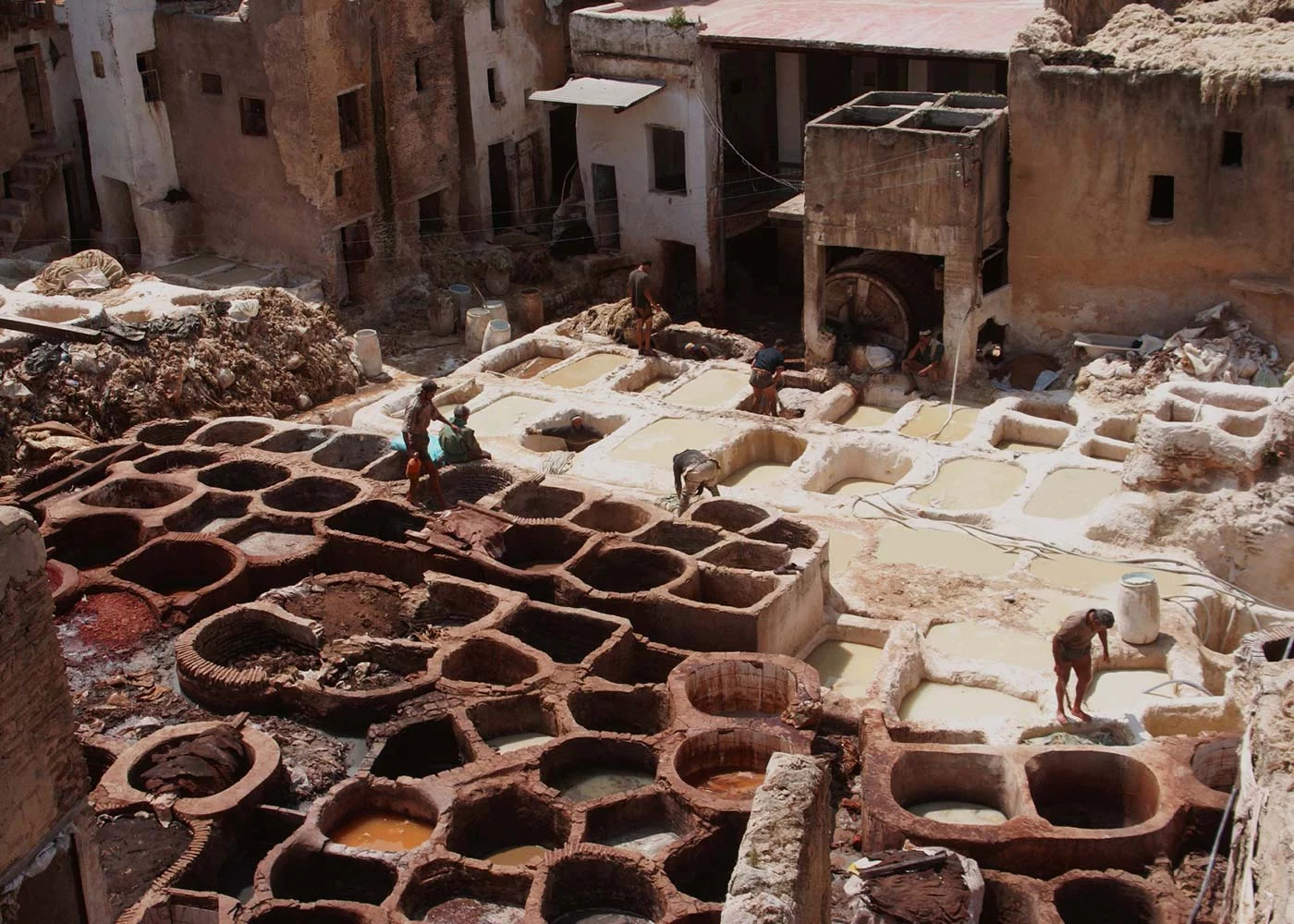 Pur Life Maroc Destination Fes Tannerie