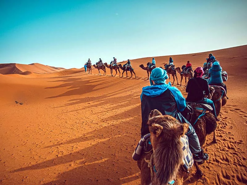Pur Life Maroc Marokko Aktivitäten