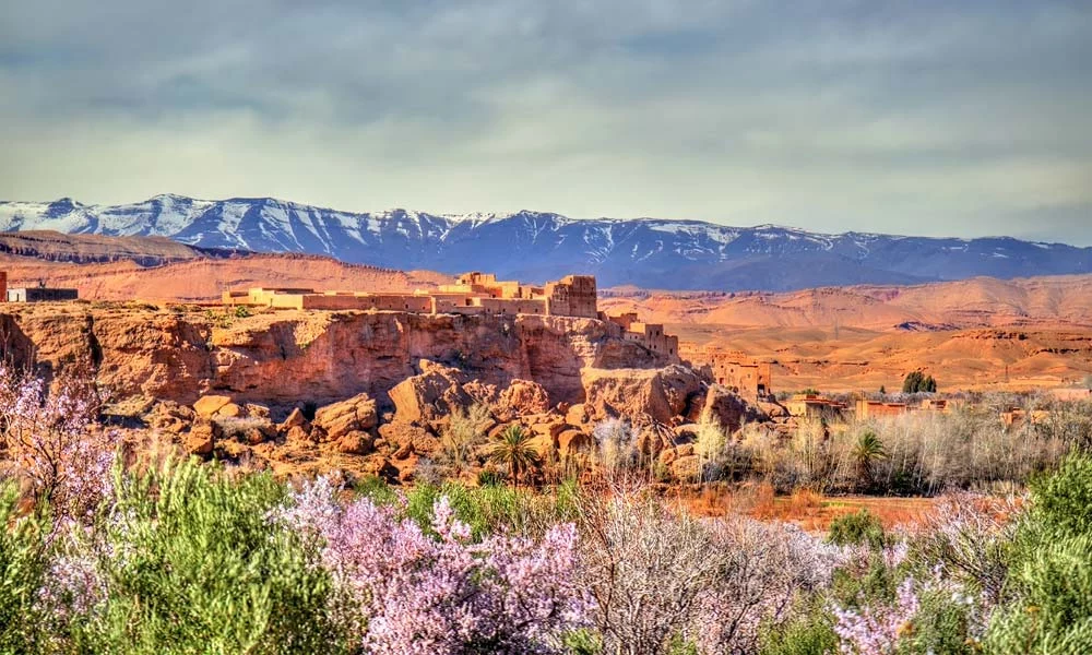 Pur Life Maroc Ouarzazate Tal der Rosen