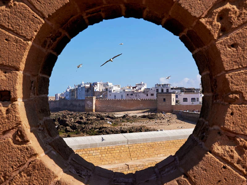 Pur Life Maroc Pressereisen Presse-Akkreditierung