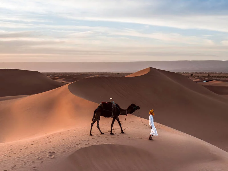 Pur Life Maroc_Marokko Insider Reisespezialist Reiseagentur Reisebüro 2 Pur Life Maroc_Marokko Insider Reisespezialist Reiseagentur Reisebüro
