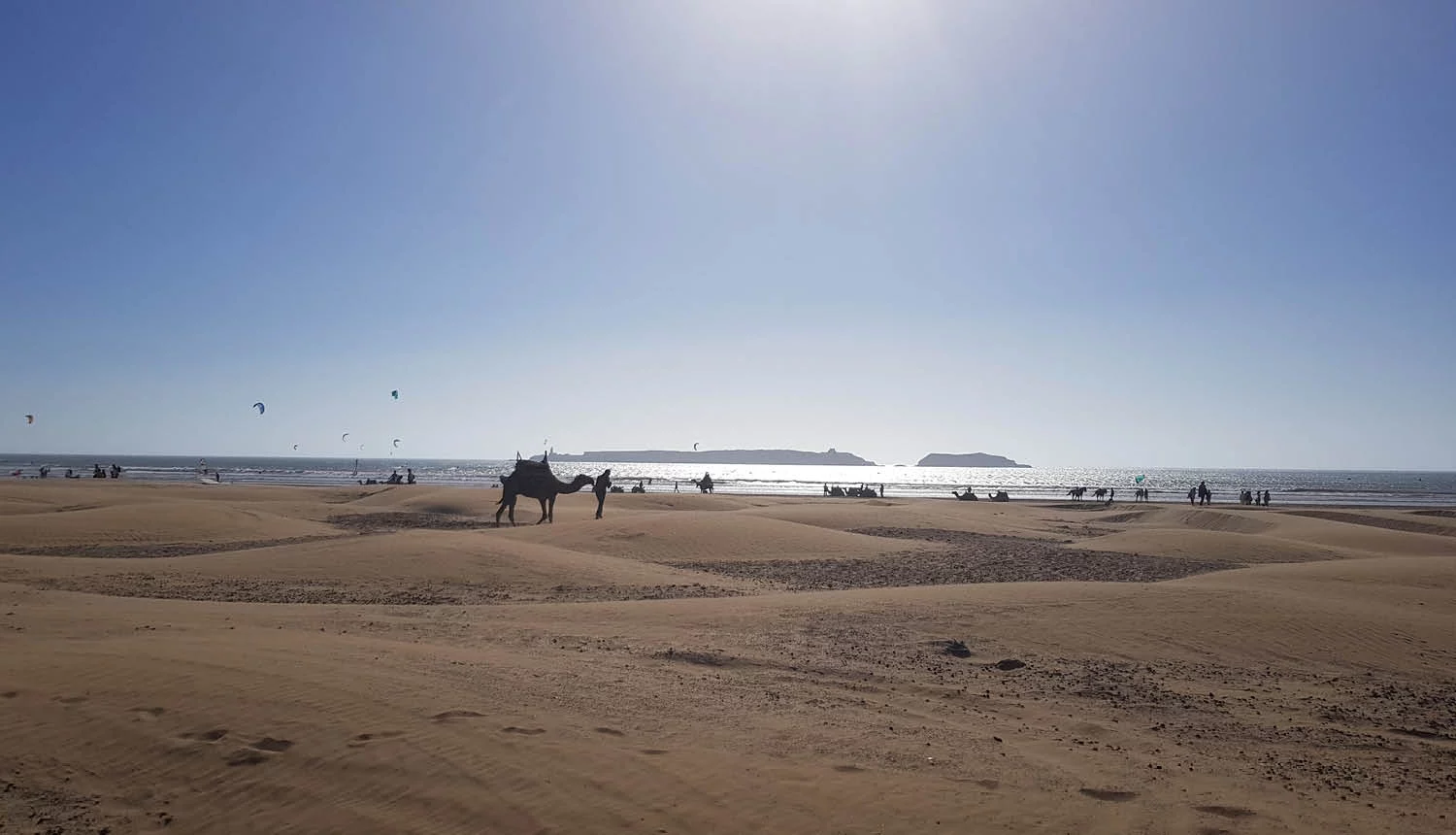 Pur Life Maroc_Marokko Insider Reisespezialist Reiseagentur Reisebüro