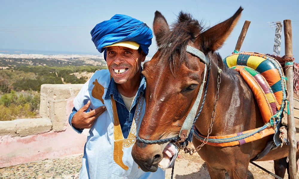 Pur Life Maroc - authentisch - Reisespezialist Marokkourlaub