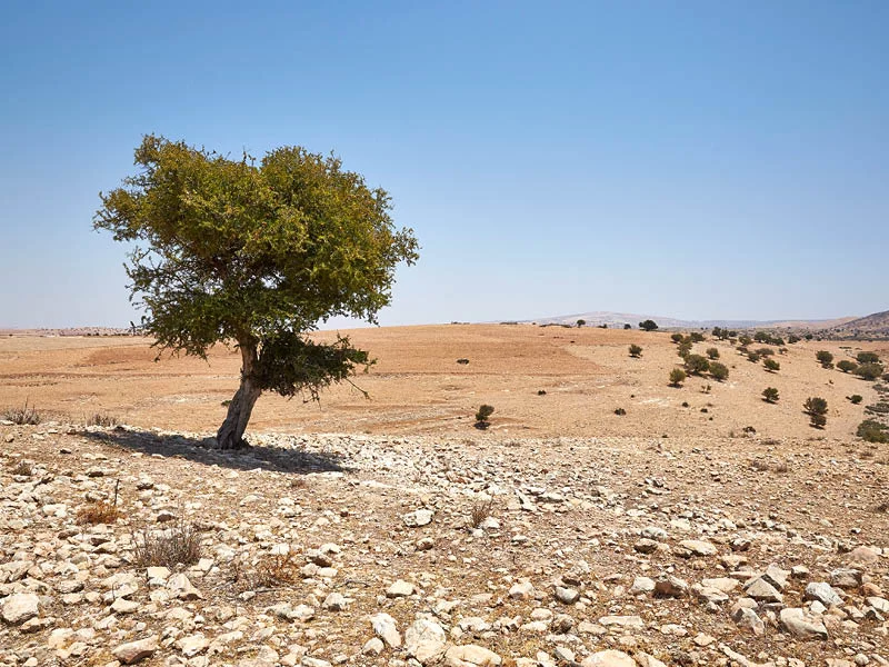 Pur Life Maroc_Ramadan Private Concierge Marokko Reiseagentur Reisebüro Reisespezialist 2 Pur Life Maroc_Ramadan Private Concierge Marokko Reiseagentur Reisebüro Reisespezialist