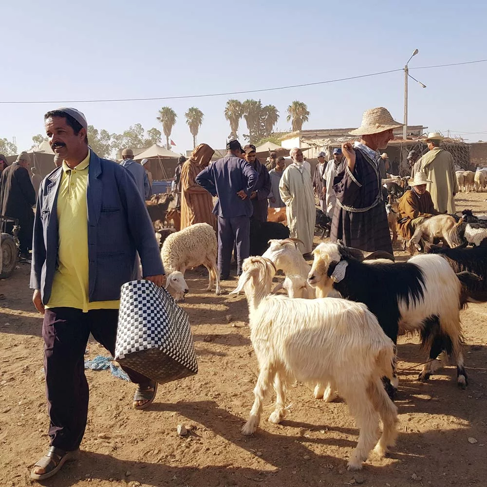 Pur Life Maroc Marokko Reisetipps von Insidern Souk Pur Life Maroc Marokko Reisetipps von Insidern Souk