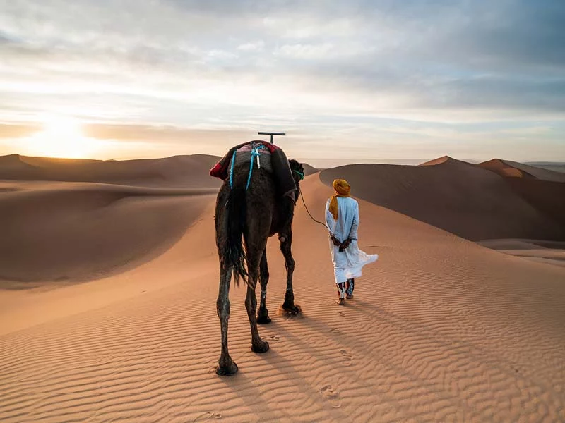 Pur Life Maroc_Wuestentour Marokko_ Pur Life Maroc_Wuestentour Marokko