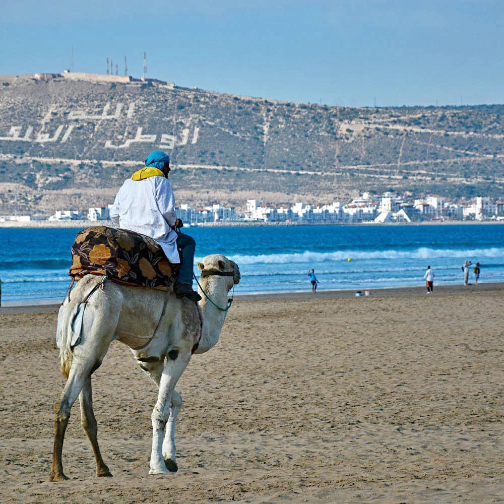 Pur Life Maroc Adults only6