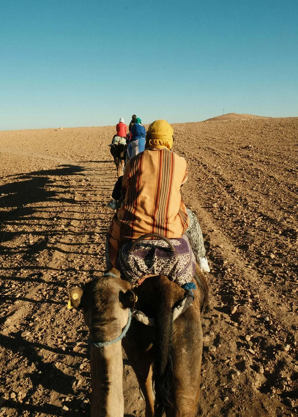 Pur-Life-Maroc_R-002-The-Saints-of-Agafay_Bildergalerie_2