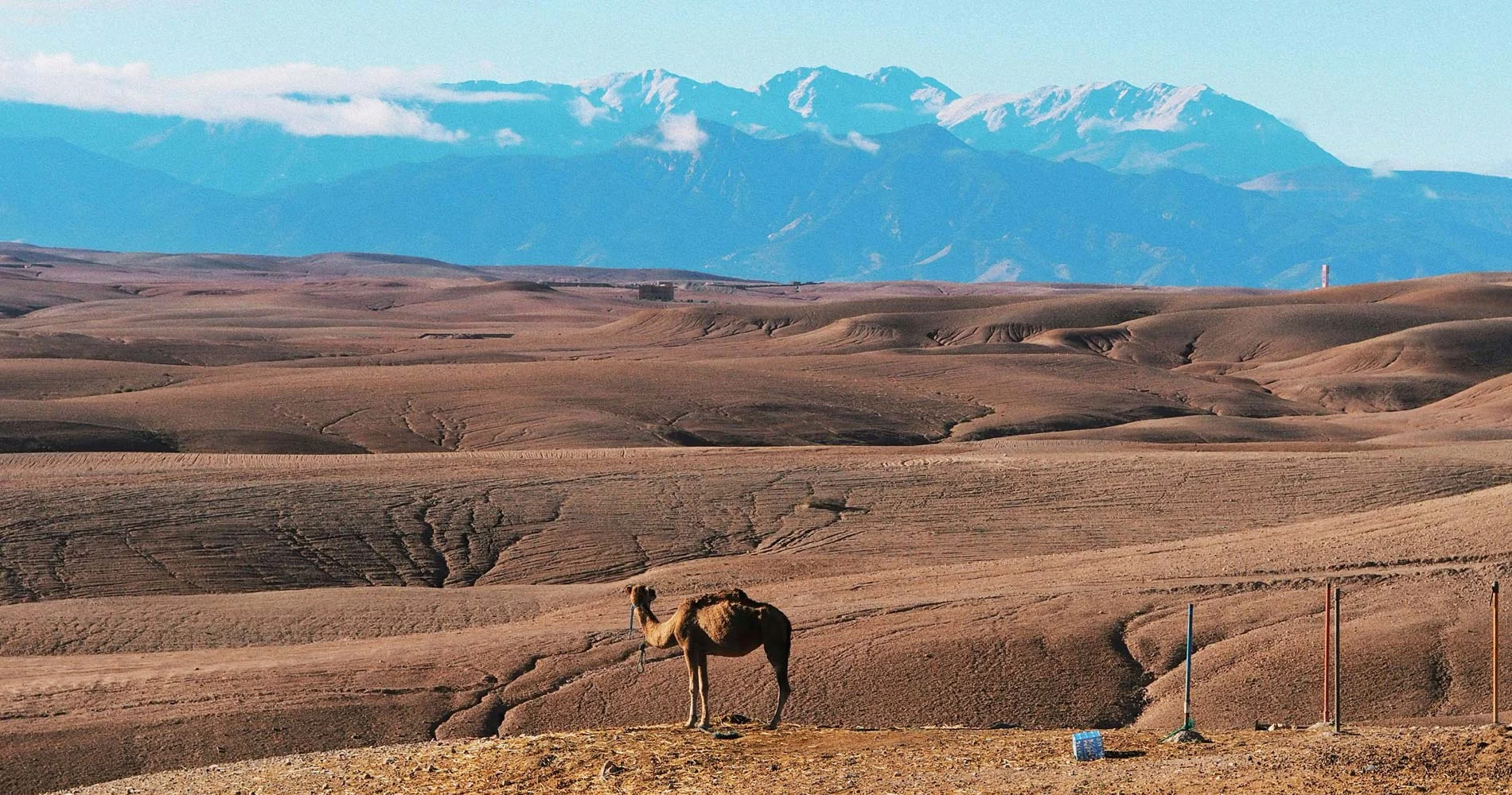 Pur-Life-Maroc_R-002-The-Saints-of-Agafay_Experience_1