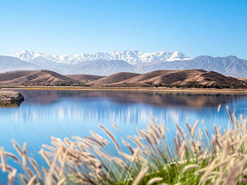 Pur-Life-Maroc_R-002-The-Saints-of-Agafay_Header_2