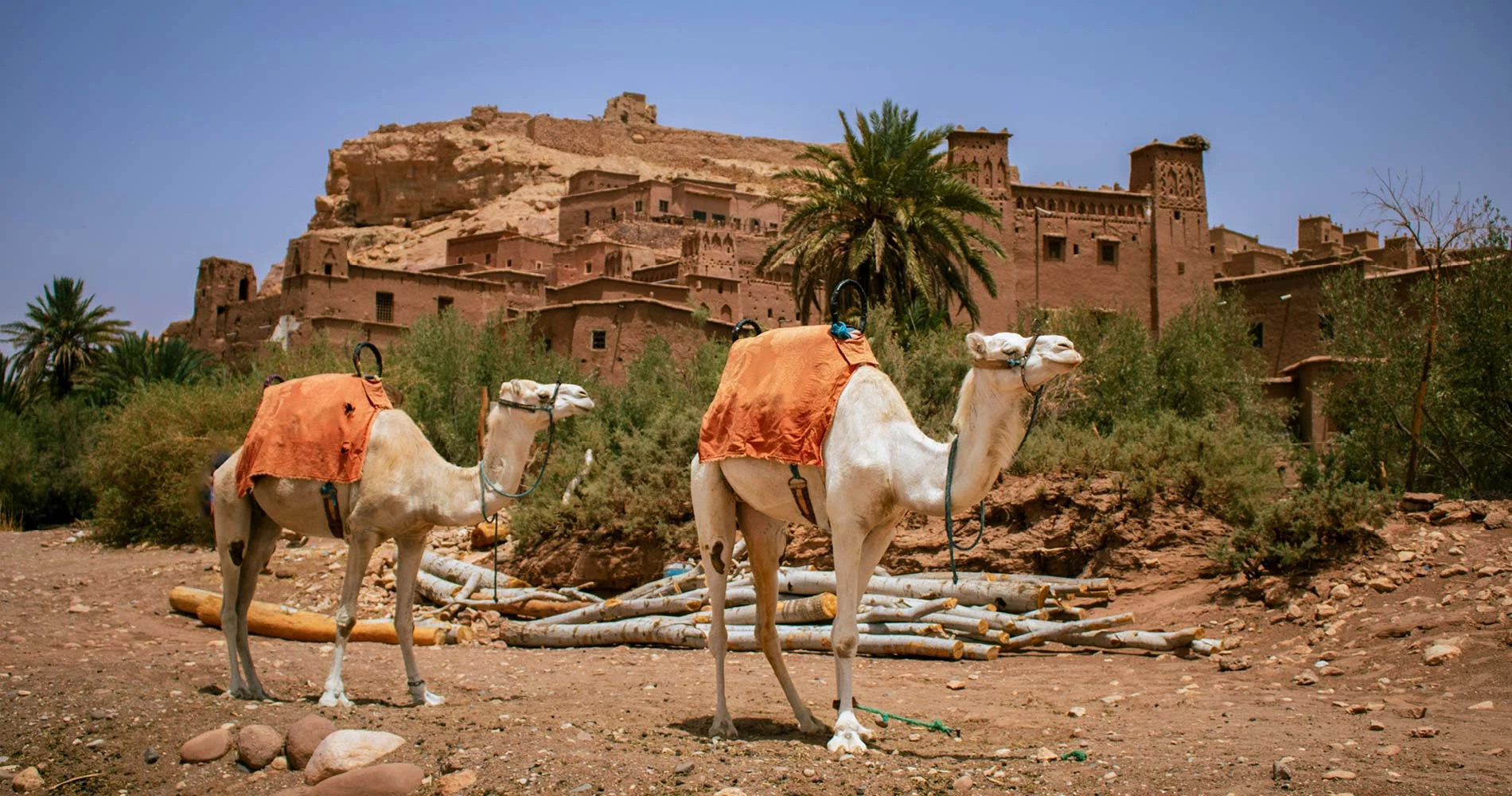 Pur-Life-Maroc_Tour-015-Marokko-im-Ursprung_Aussergewöhnlich_3