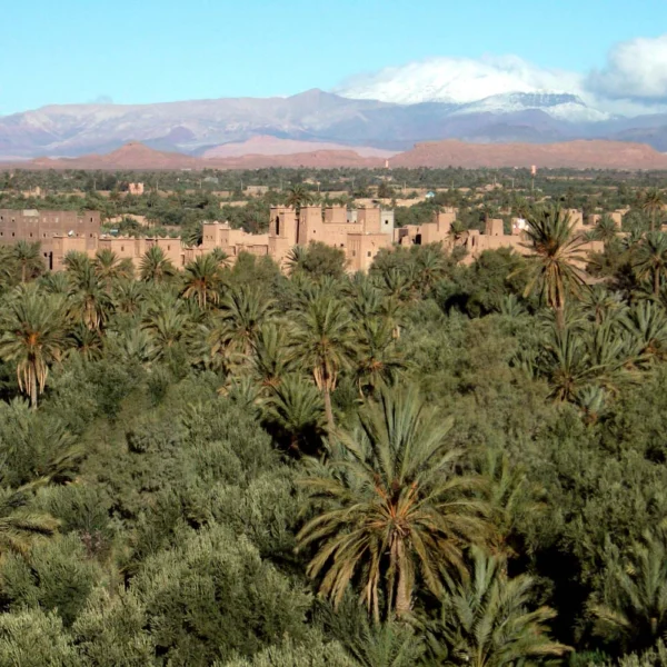 Pur-Life-Maroc_Tour-015-Marokko-im-Ursprung_Stationen_7